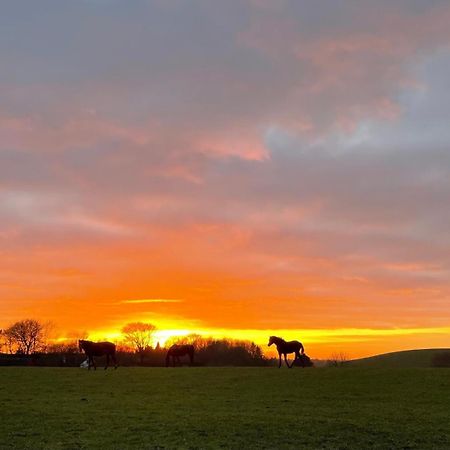 Glamping Mi Casa Tu Casadk Hotel Vissenbjerg ภายนอก รูปภาพ
