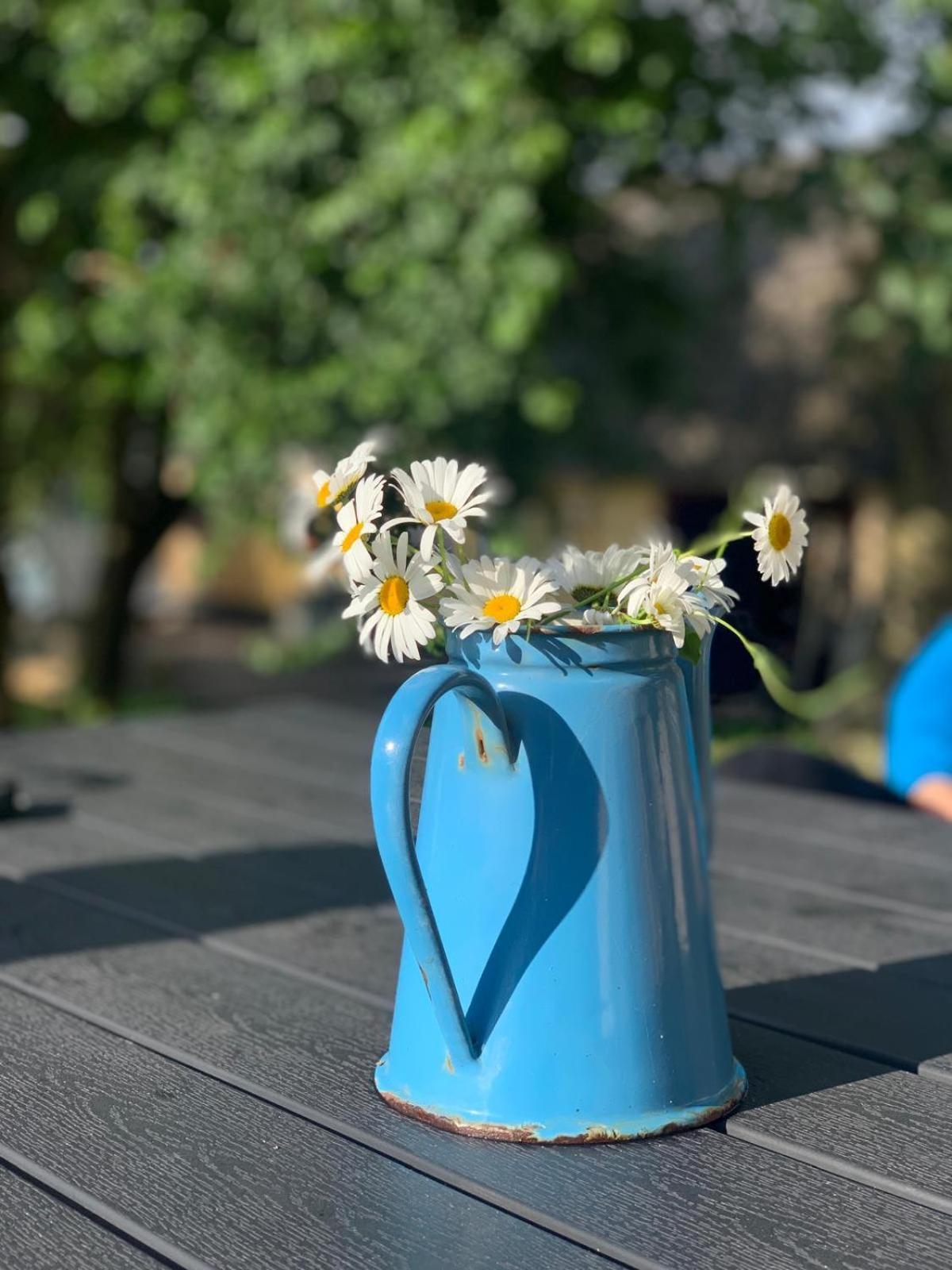 Glamping Mi Casa Tu Casadk Hotel Vissenbjerg ภายนอก รูปภาพ