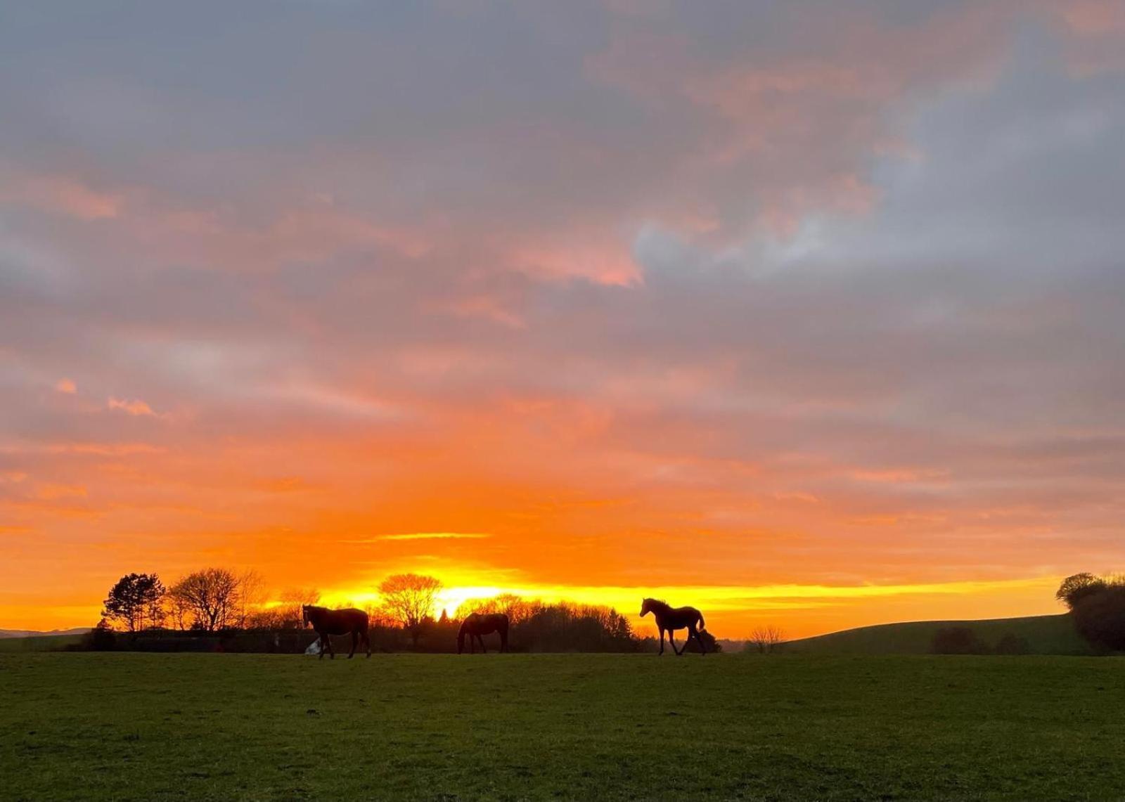 Glamping Mi Casa Tu Casadk Hotel Vissenbjerg ภายนอก รูปภาพ